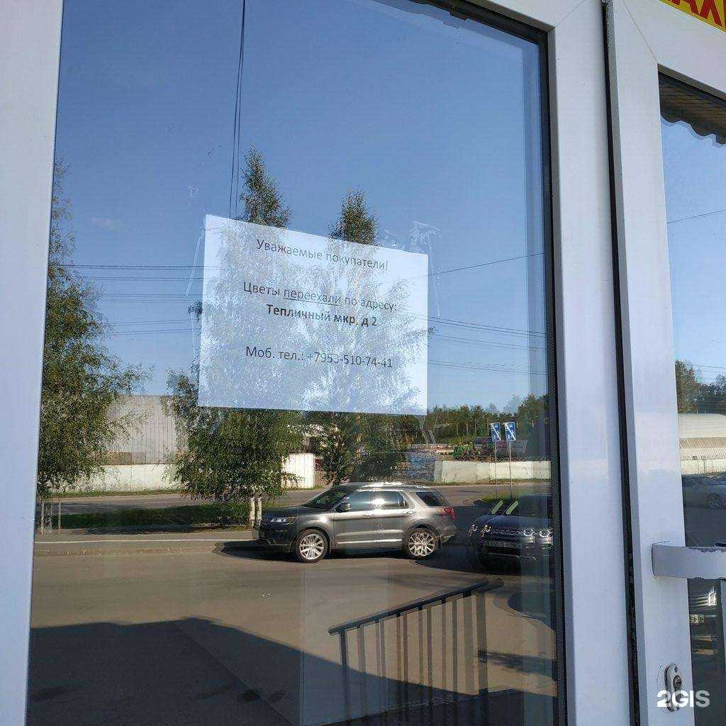 Отзывы на компанию Люби и дари в Вологде c фото