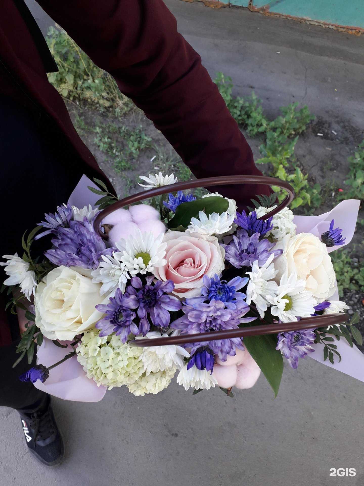 Отзывы на компанию Лейка в Омске c фото