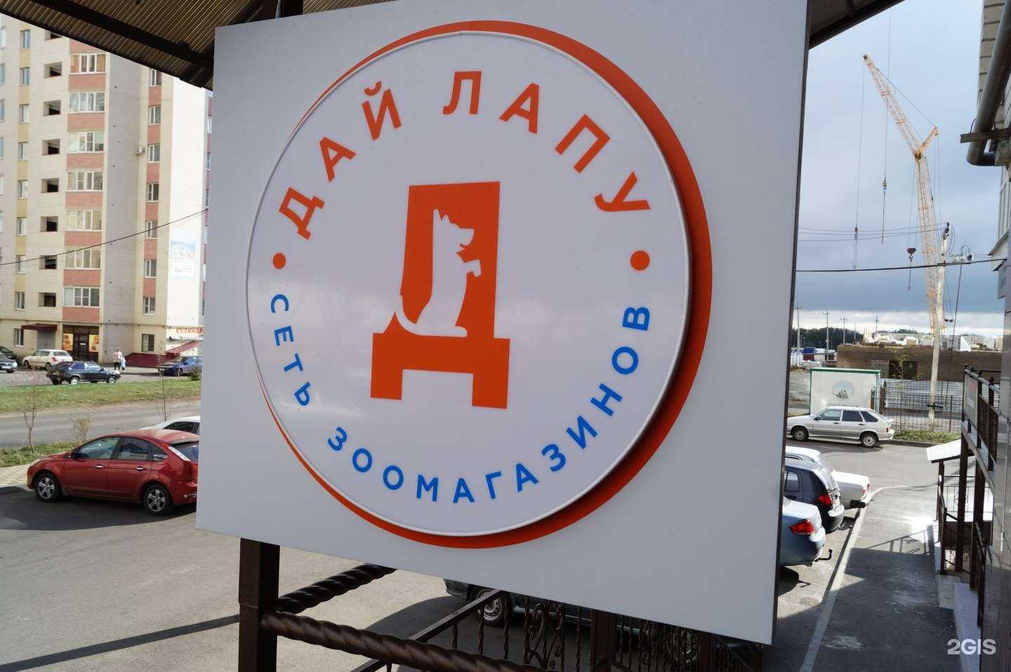 Отзывы на компанию Дай Лапу в г. Ставрополь c фото