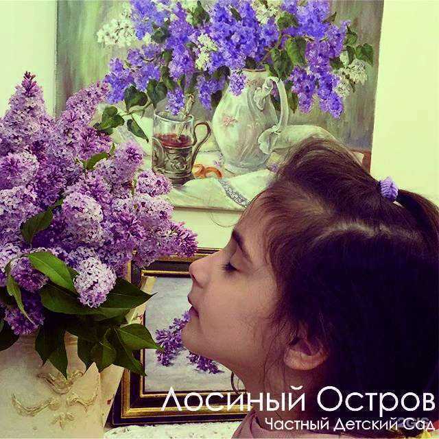 Отзывы на компанию Лосиный остров в г. Балашиха c фото