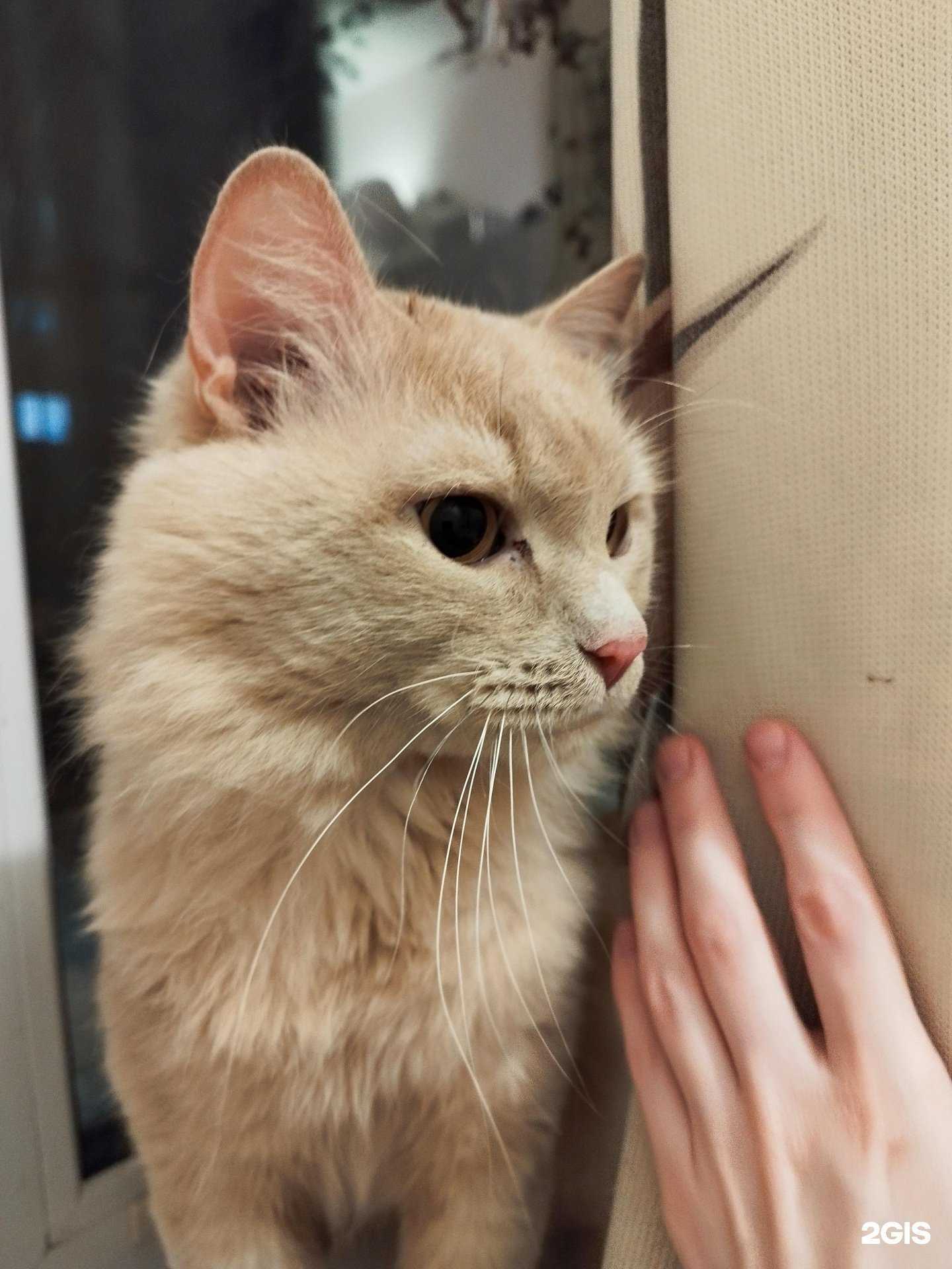 Отзывы на компанию Aqua bot в Тюмени c фото - фотография 2 из 2