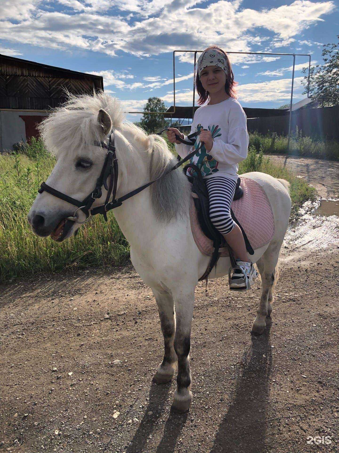 Отзывы на компанию Наглая Лошадь в Полевское c фото