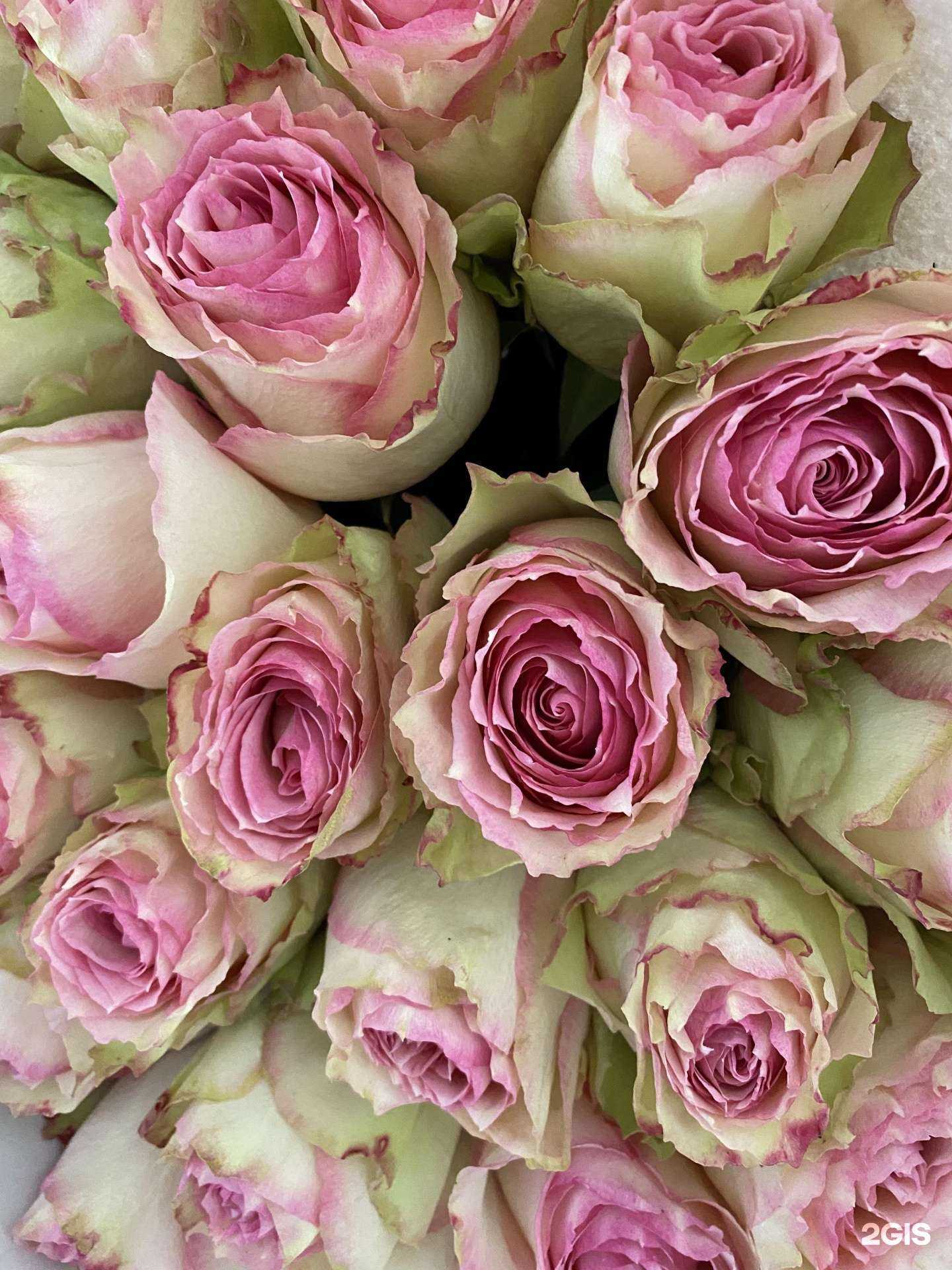 Отзывы на компанию Мир цветов в Новосибирске c фото