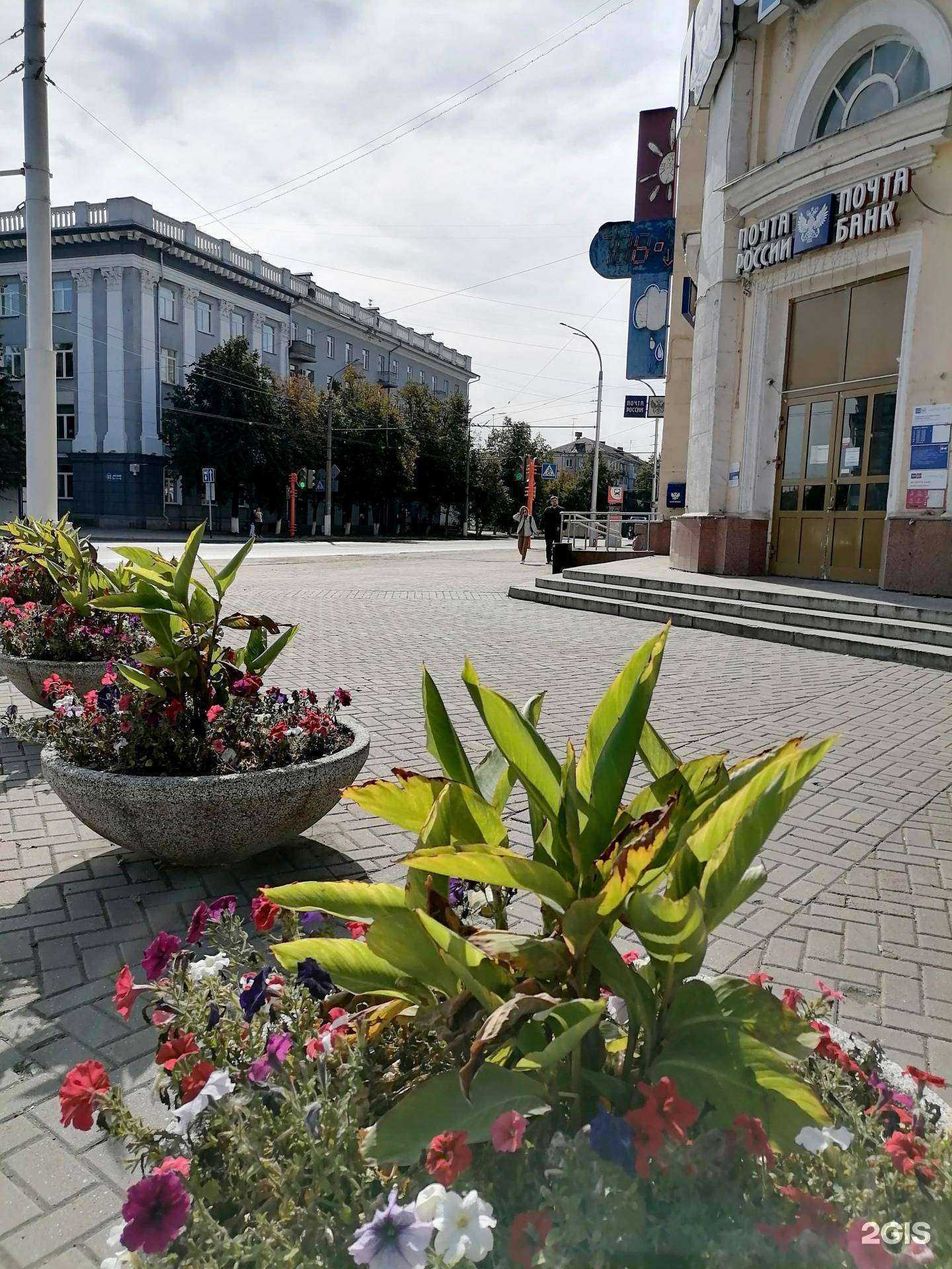 Отзывы на компанию Willmade в Кемерове c фото - фотография 2 из 2