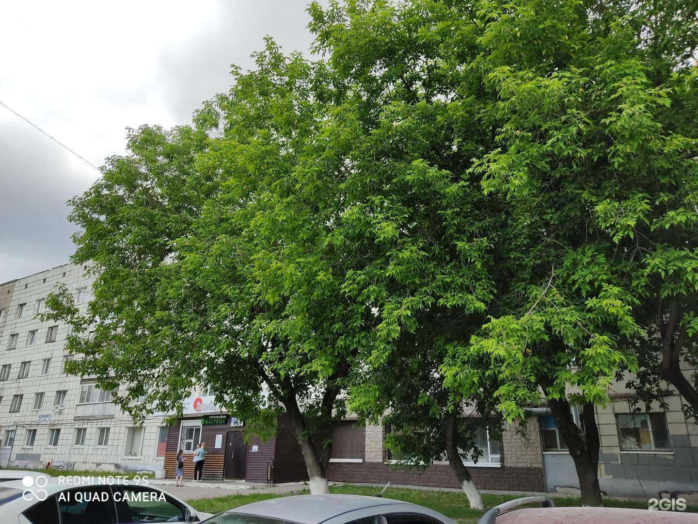 Отзывы на компанию Гармония в Перми c фото - фотография 2 из 2