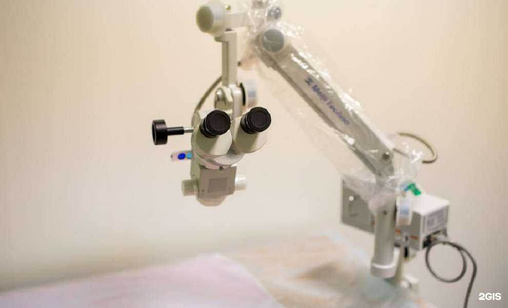 Отзывы на компанию От носа до хвоста в Нижнем Новгороде c фото