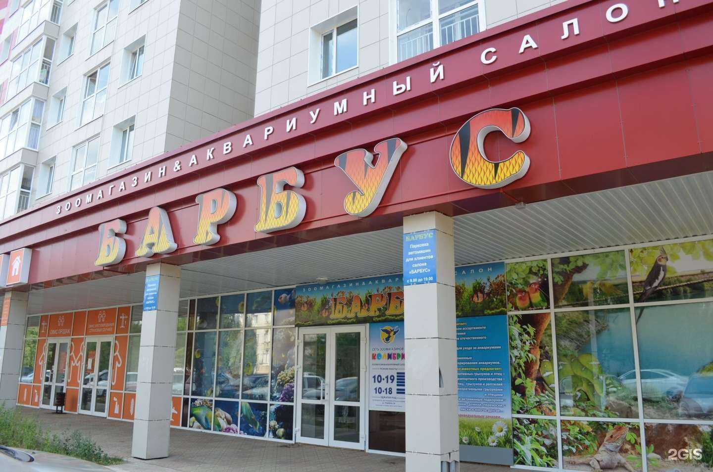 Отзывы на компанию Дивный Колибри в Сыктывкаре c фото