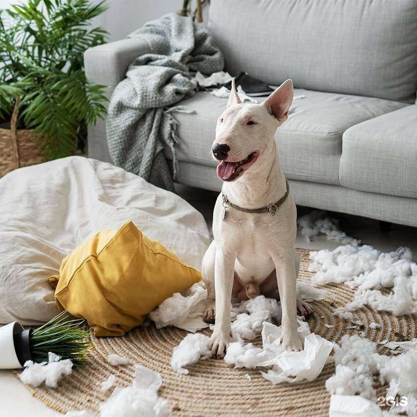 Отзывы на компанию Акватеррариум в Перми c фото