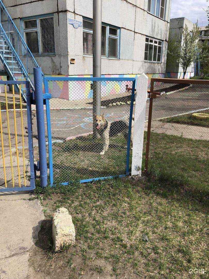 Отзывы на компанию Детский сад №80 в Красноярске c фото