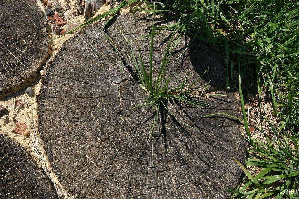 Отзывы на компанию ЕльНик в Оренбурге c фото