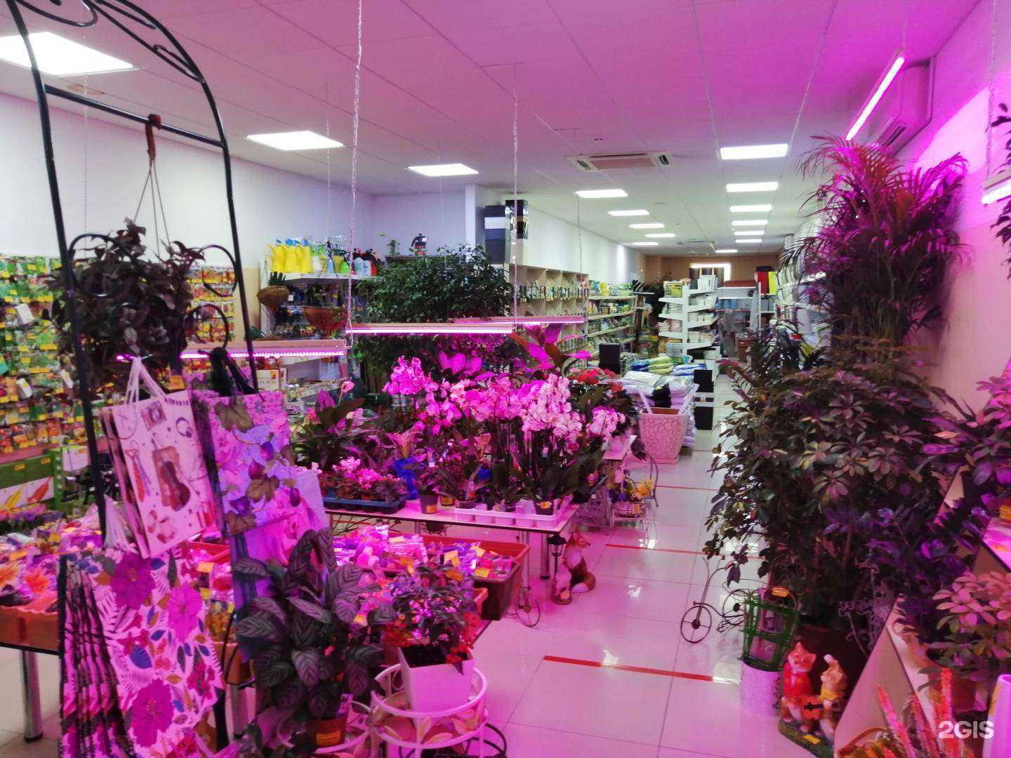 Отзывы на компанию Садовник в г. Ессентуки c фото