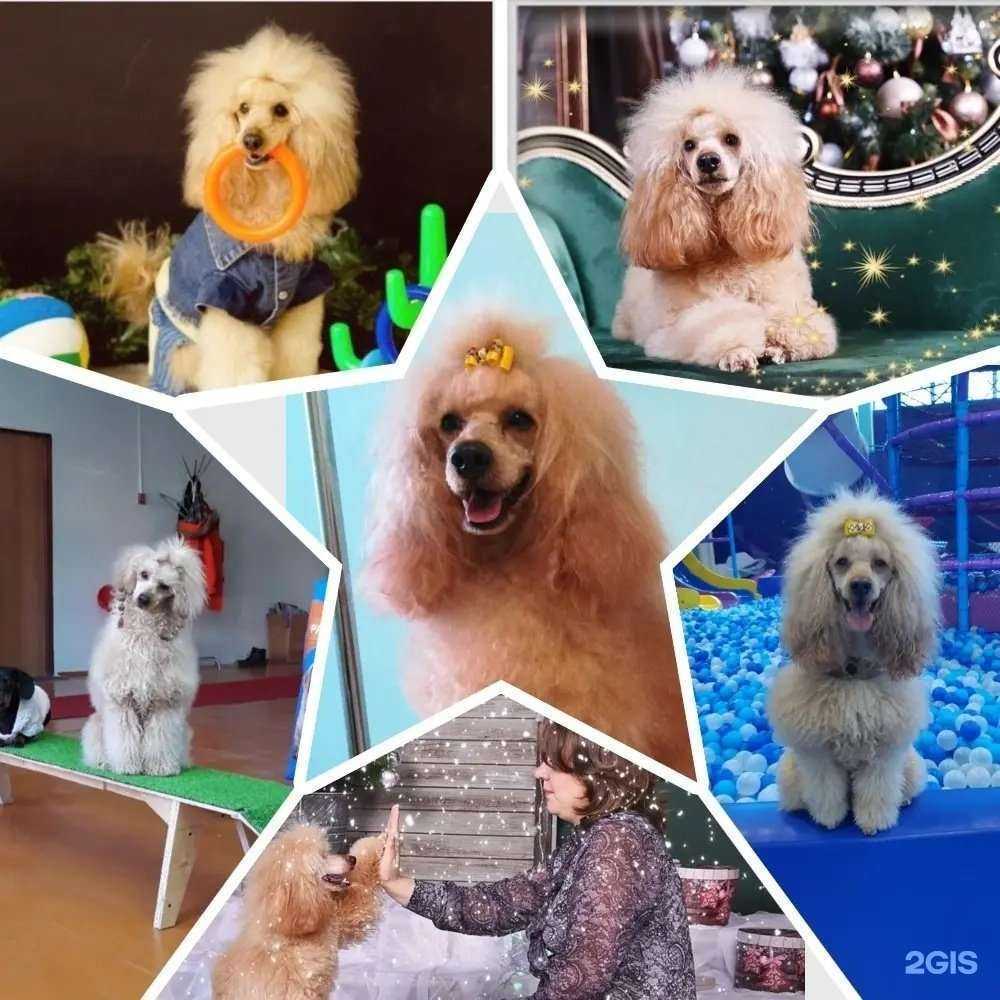 Отзывы на компанию Мы вместе в Кургане c фото