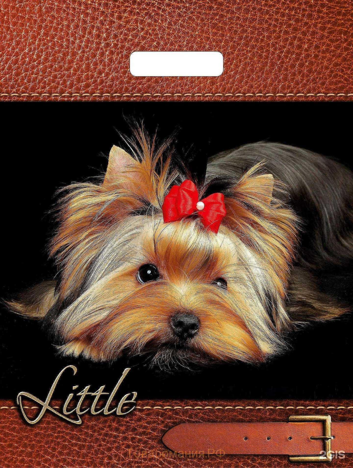 Отзывы на компанию Комета в г. Химки c фото