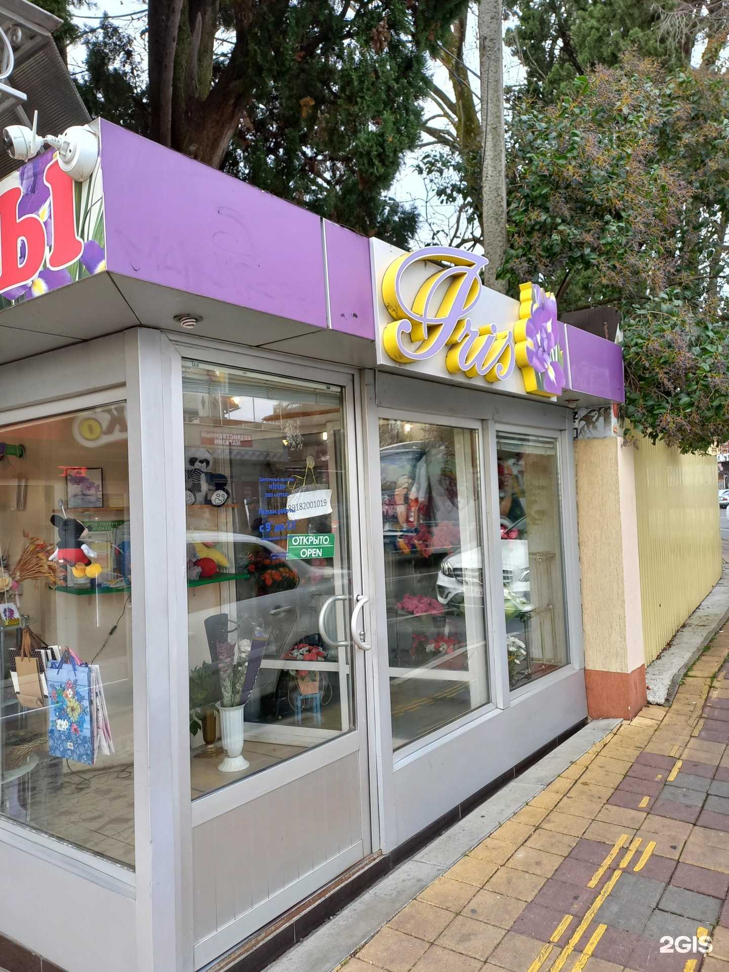 Отзывы на компанию Ирис в Сочи c фото