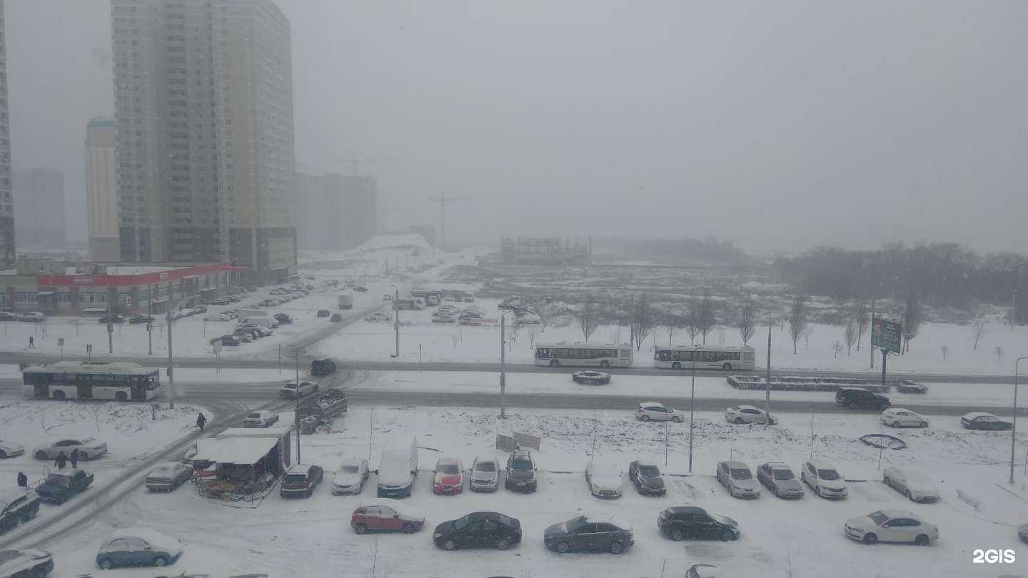 Отзывы на компанию Зубная поликлиника в Ростове-на-Дону c фото - фотография 2 из 2