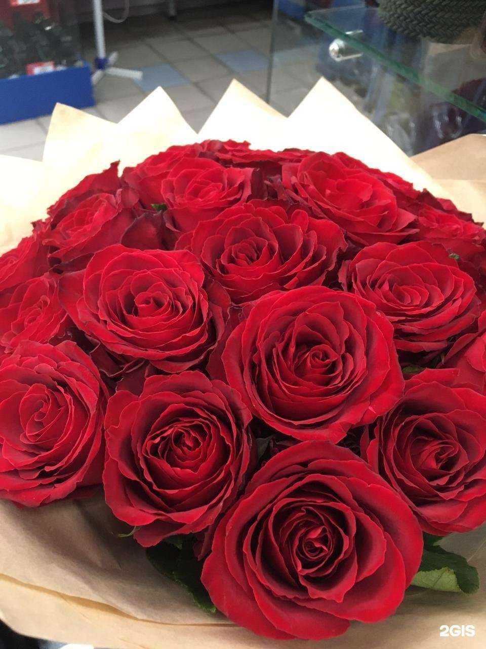 Отзывы на компанию Цветы Голландии в г. Гурьевск c фото