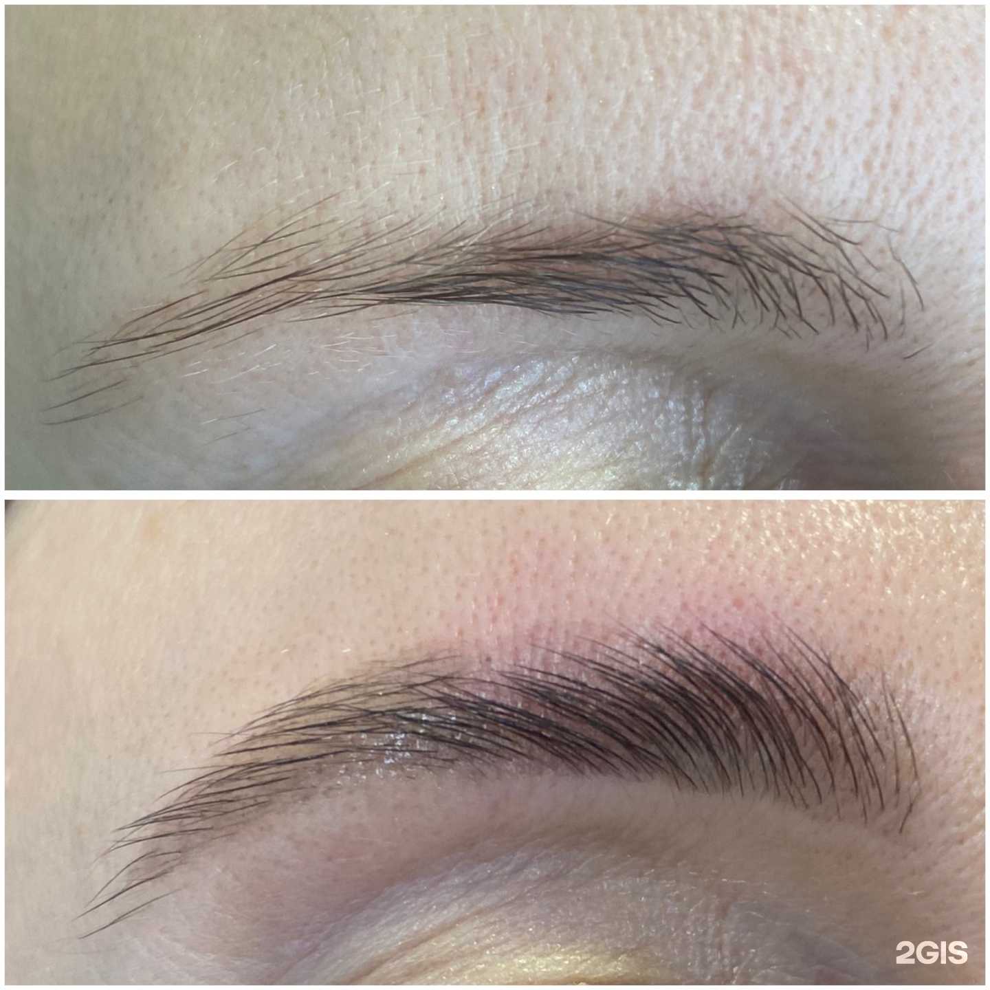 Отзывы на компанию Brovolog в Сочи c фото