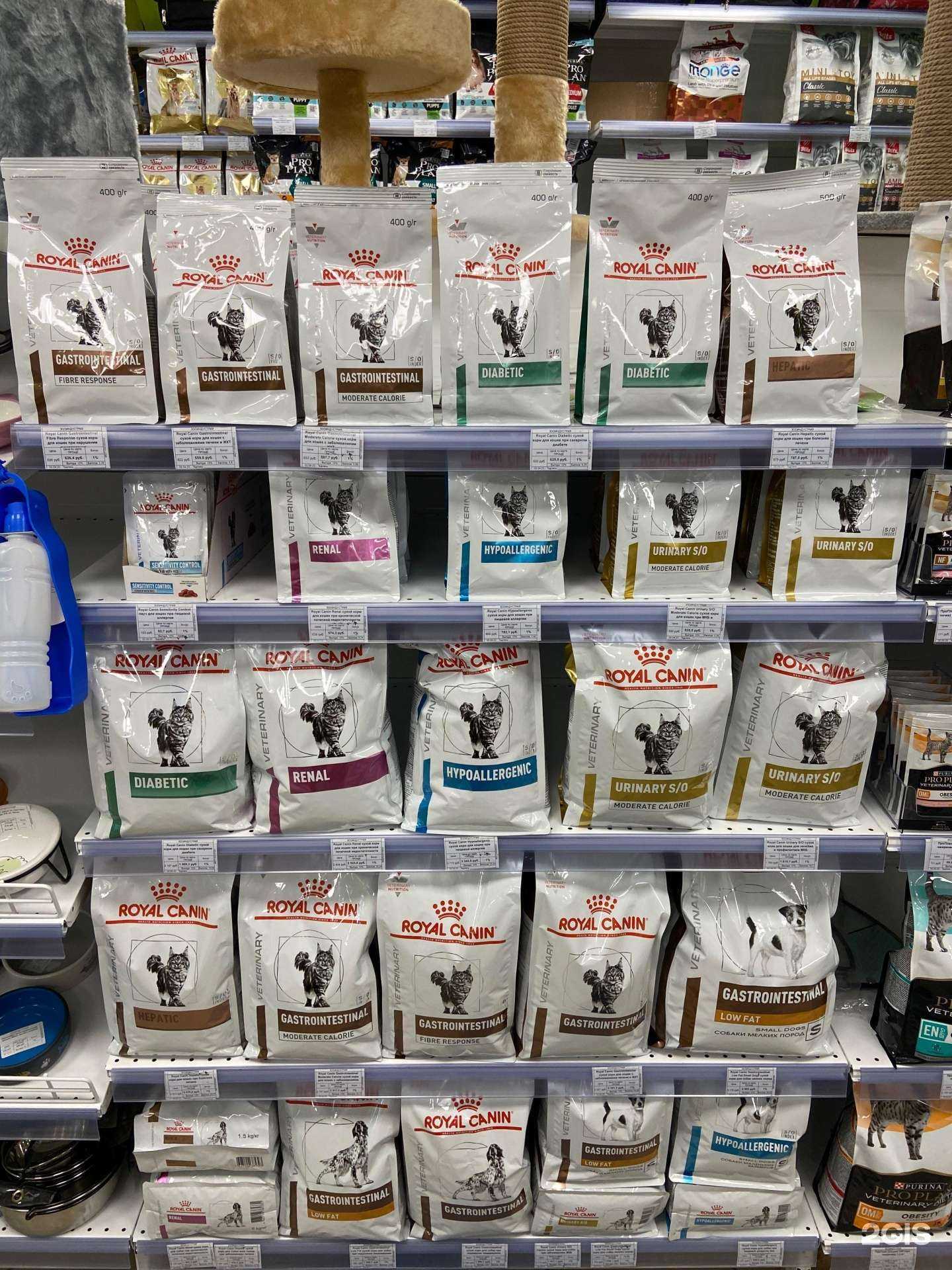 Отзывы на компанию Зоодисконт в г. Новосибирск c фото