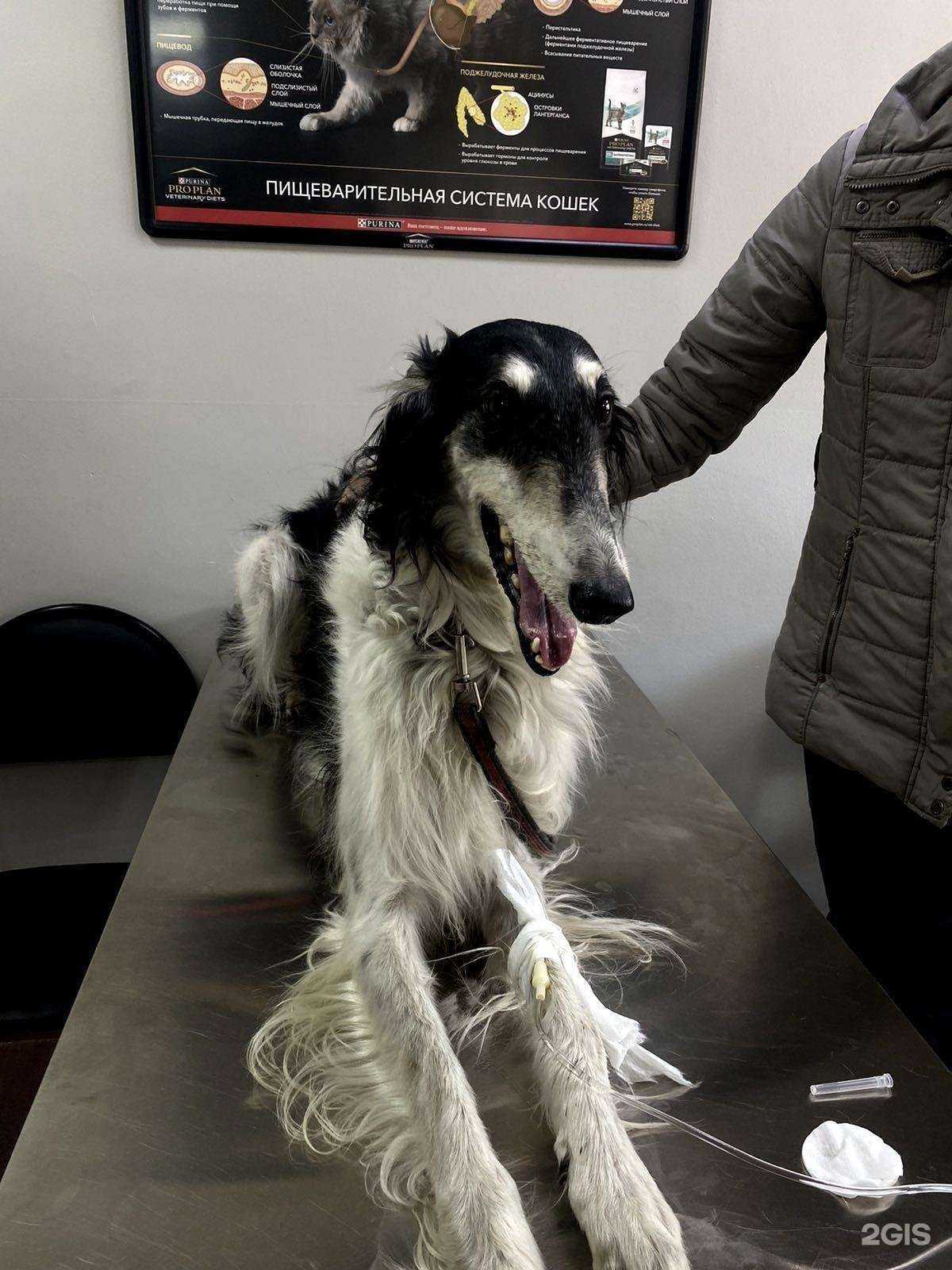 Отзывы на компанию Зоосфера в г. Улан-Удэ c фото