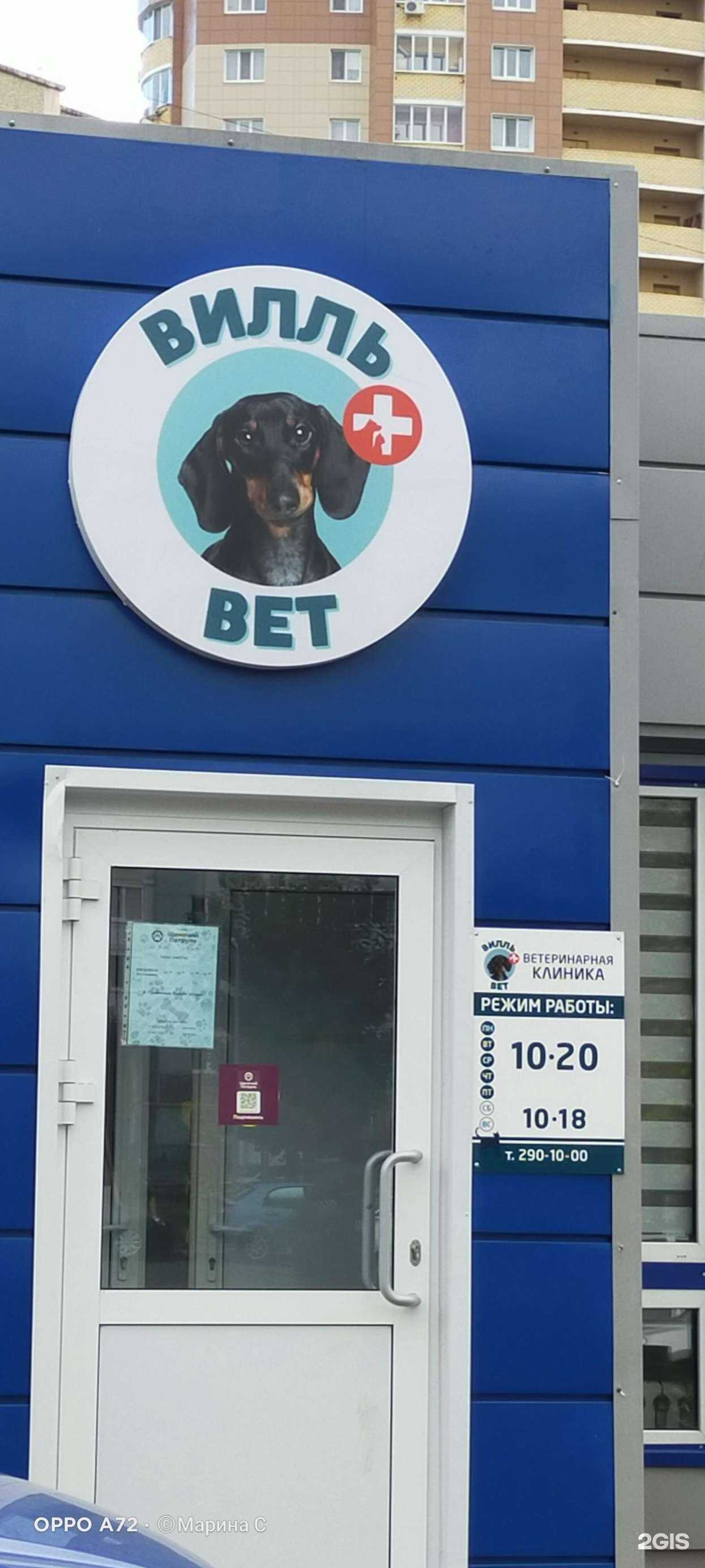 Отзывы на компанию Вилль-Вет в Казани c фото - фотография 2 из 2