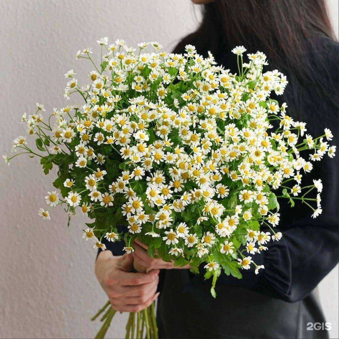 Отзывы на компанию Крона в г. Красноярск c фото