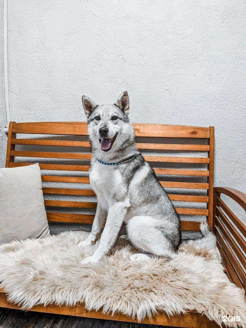 Отзывы на компанию Gold Groom в Артёме c фото