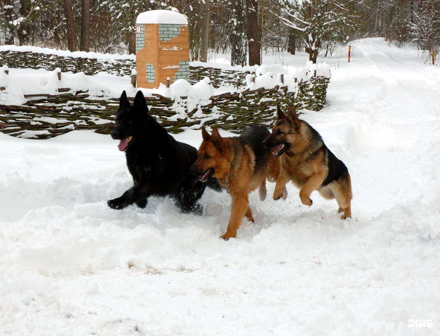 Отзывы на компанию Док в Анапе c фото