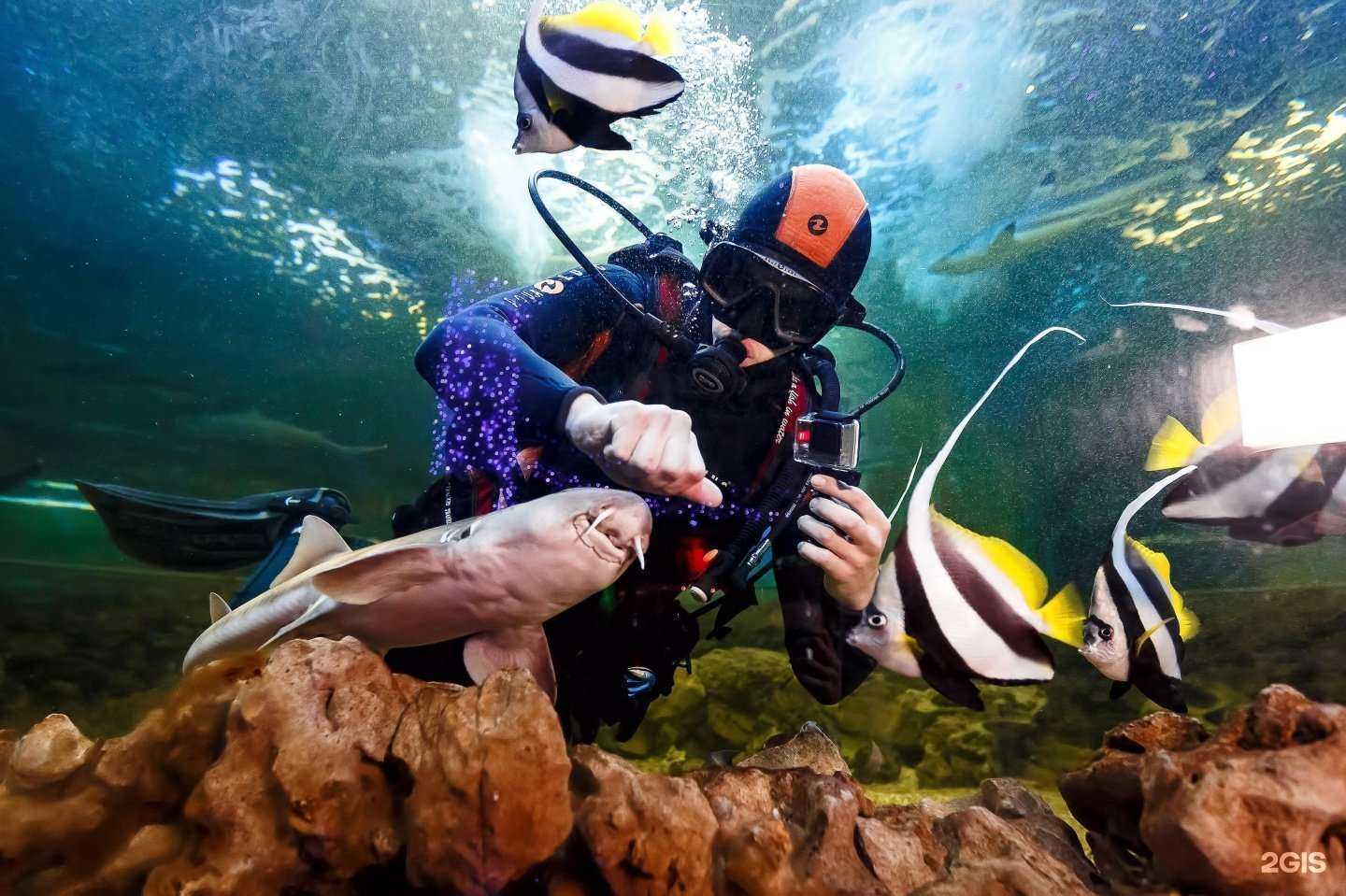 Отзывы на компанию Зеркальный лабиринт в Краснодаре c фото