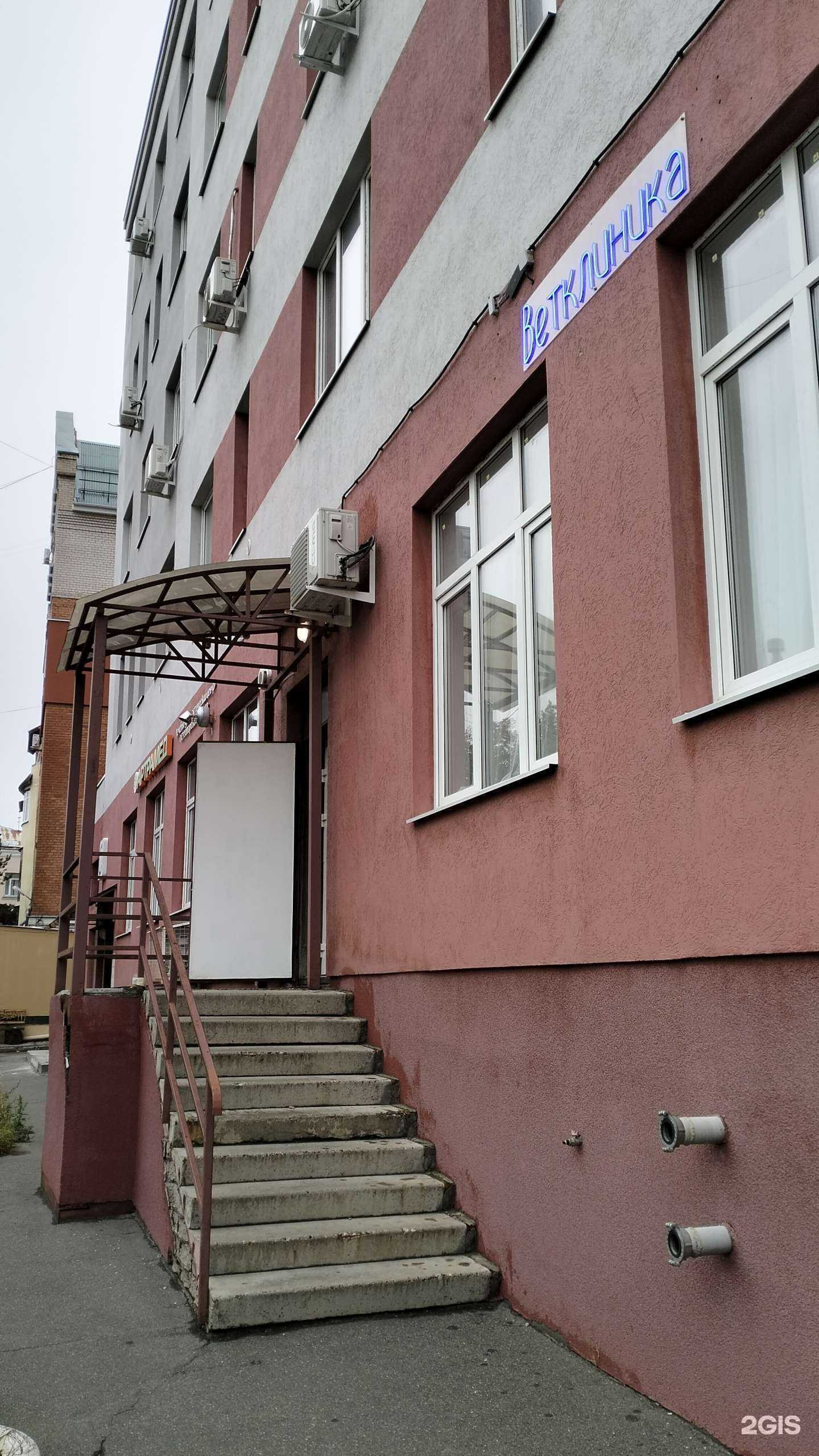 Отзывы на компанию Зоозащита в Иванове c фото