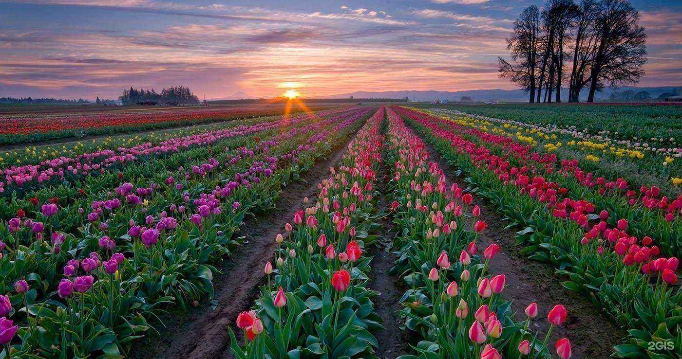 Отзывы на компанию Двор-декор в Елеце c фото