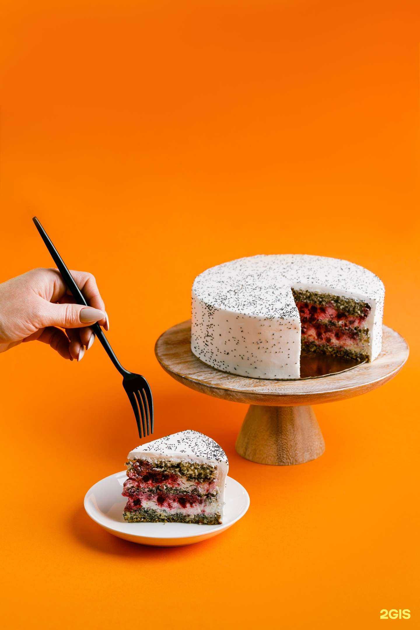 Отзывы на компанию Тесто в Томске c фото