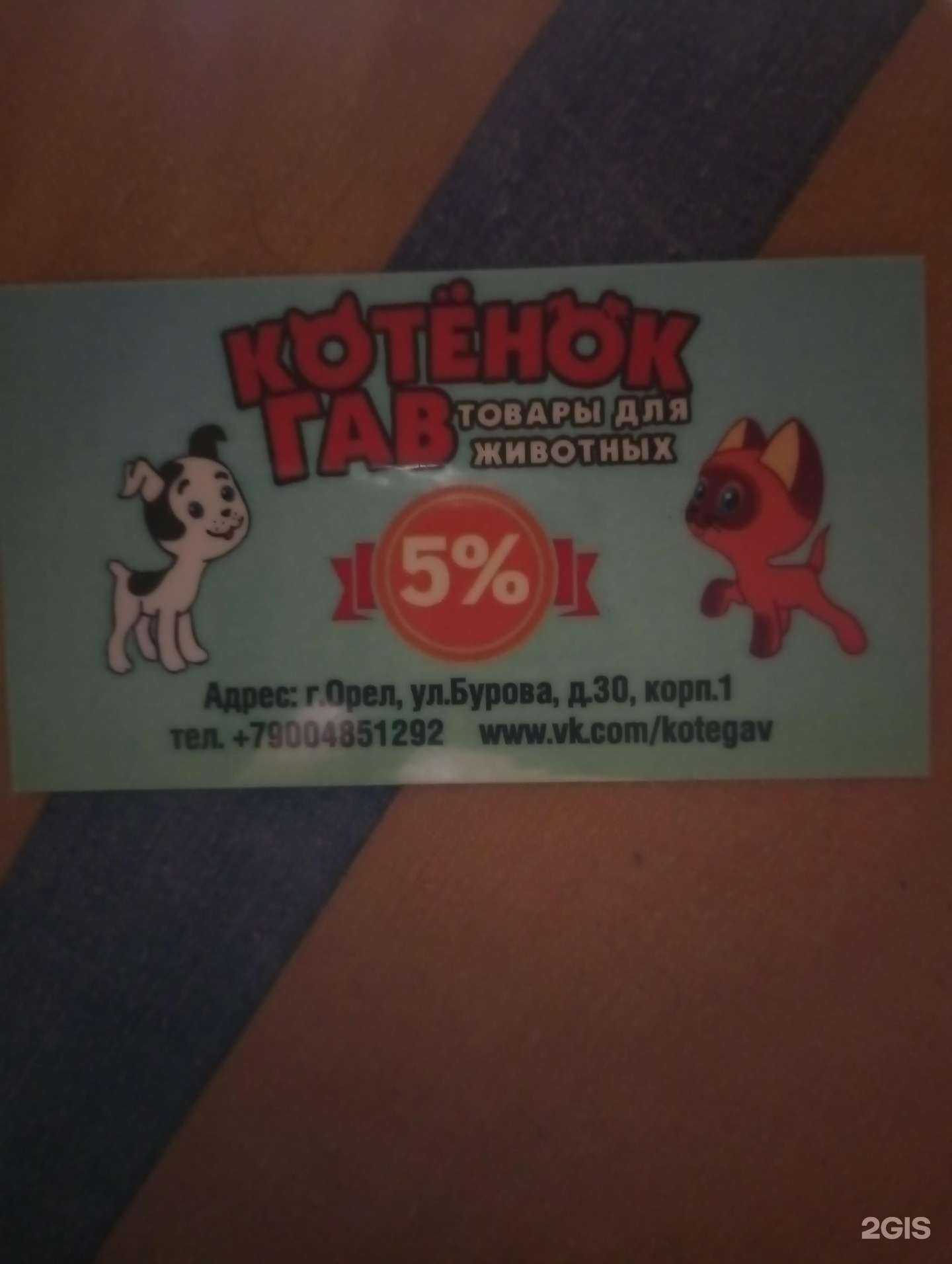 Отзывы на компанию Котенок Гав в г. Орёл c фото