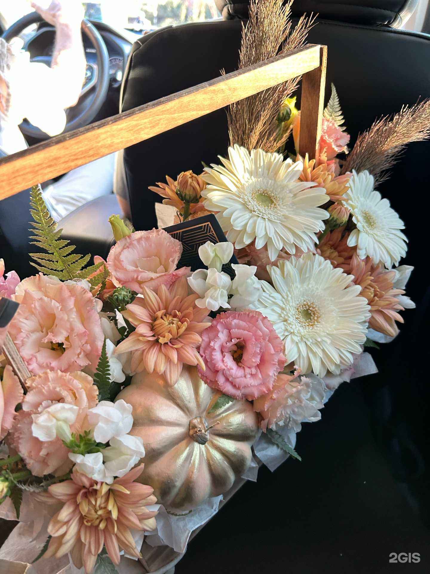 Отзывы на компанию Цветокс в г. Краснодар c фото