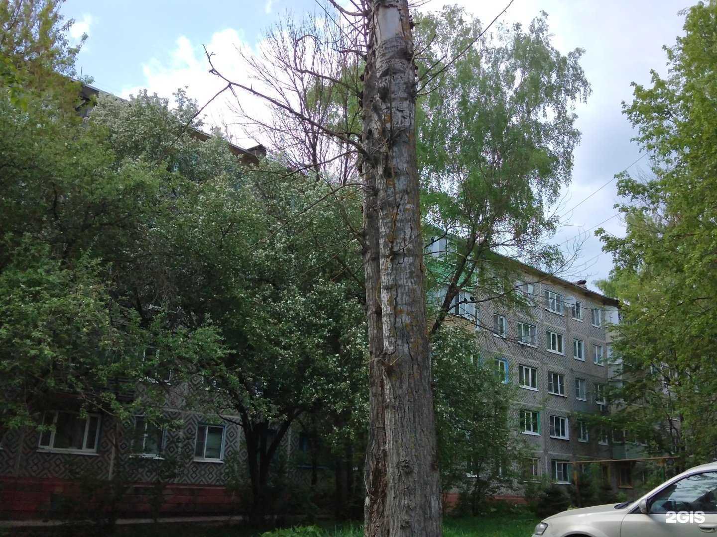 Отзывы на компанию Новый мир в Калуге c фото - фотография 2 из 2