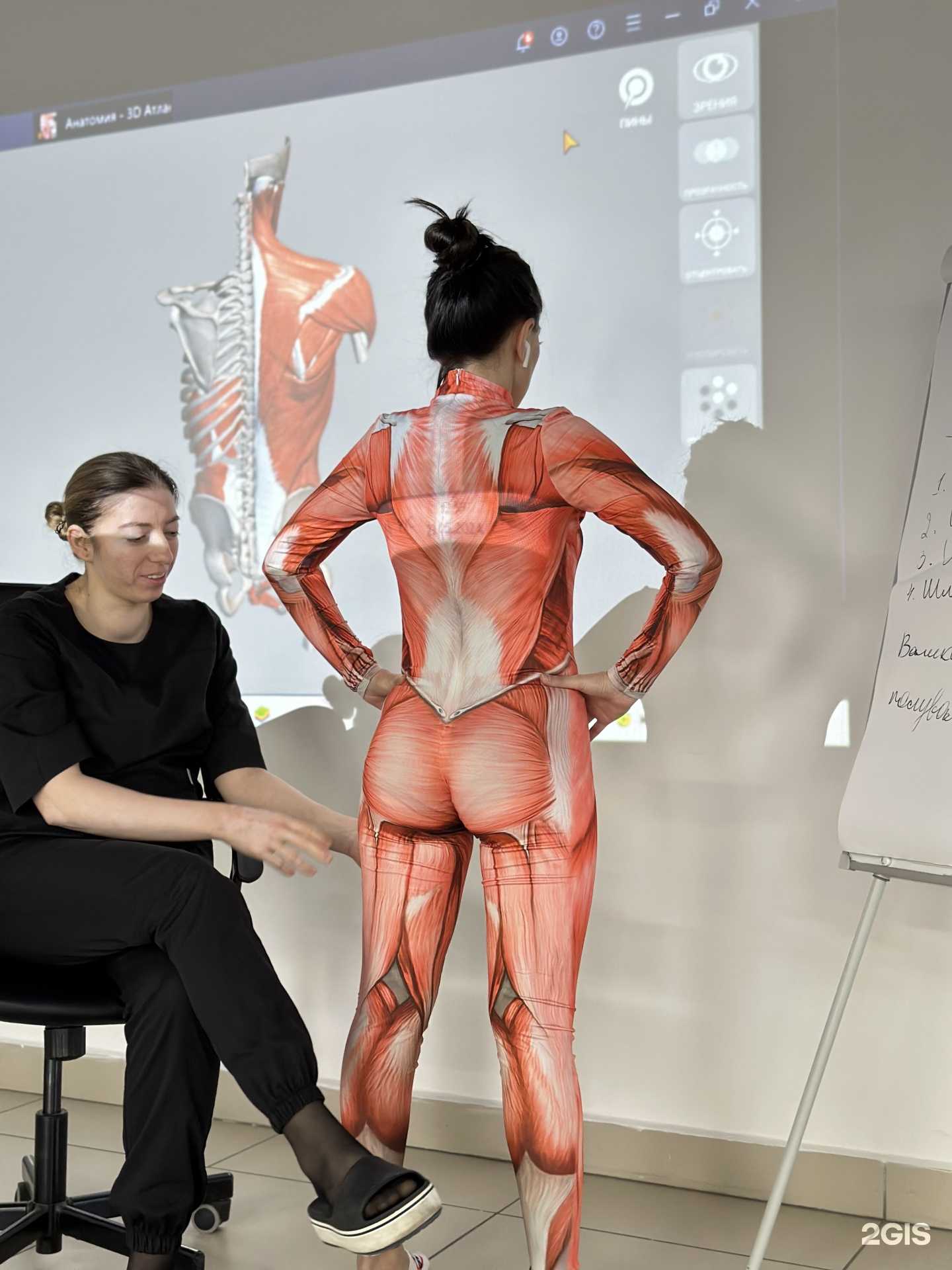 Отзывы на компанию Авокадо в г. Махачкала c фото