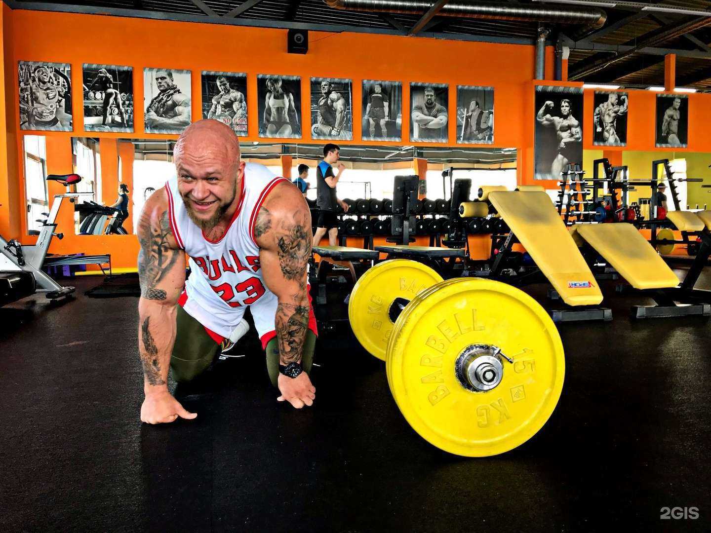 Отзывы на компанию Медведь в Краснодаре c фото