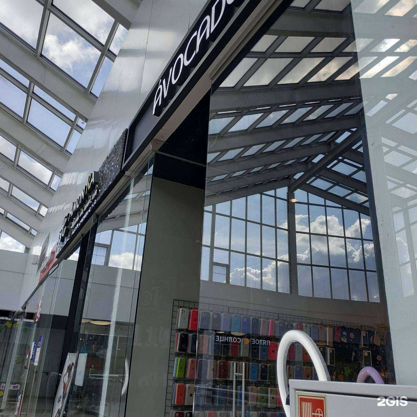 Отзывы на компанию Avocado в г. Вологда c фото