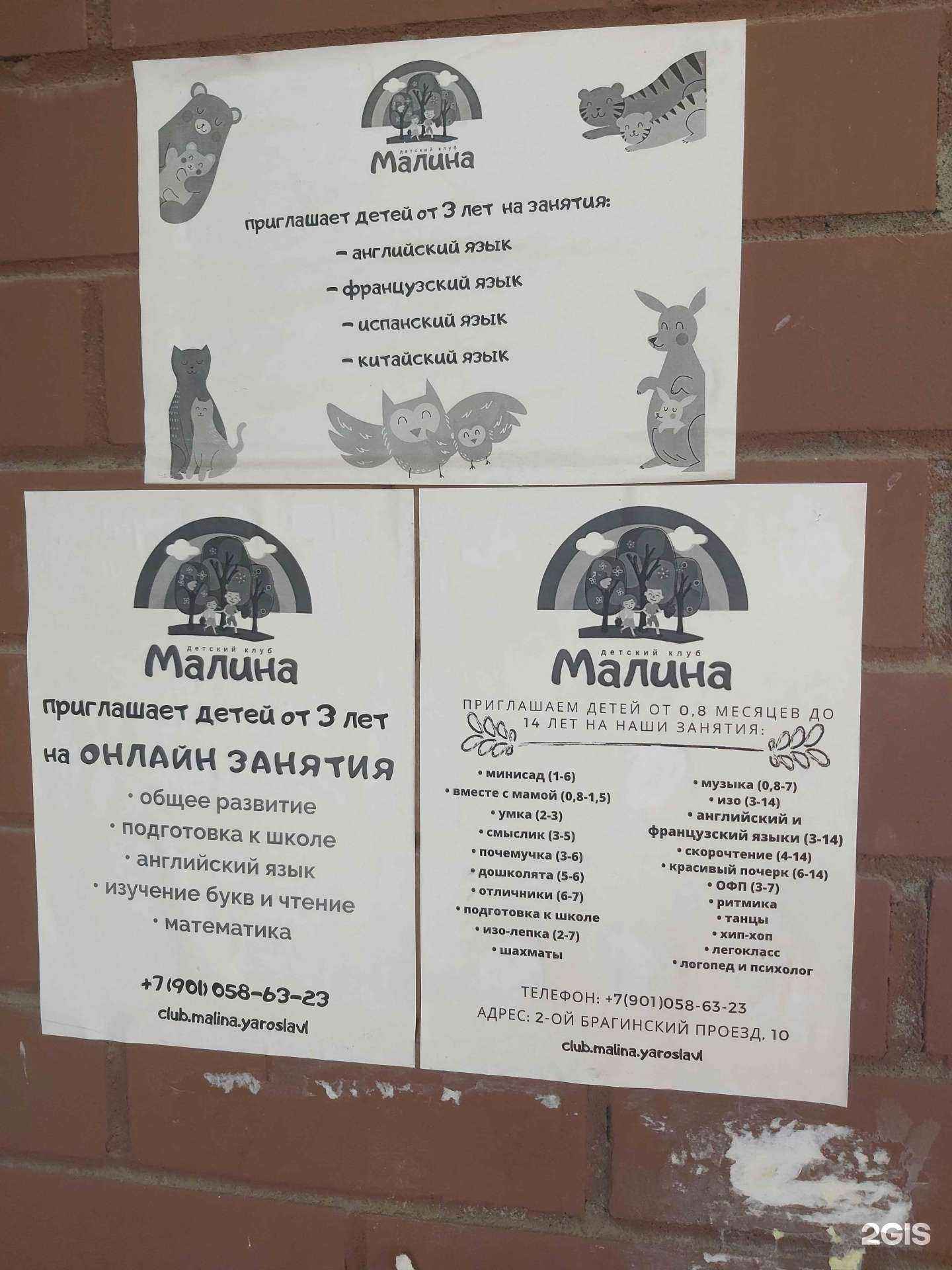 Отзывы на компанию Малина в г. Ярославль c фото