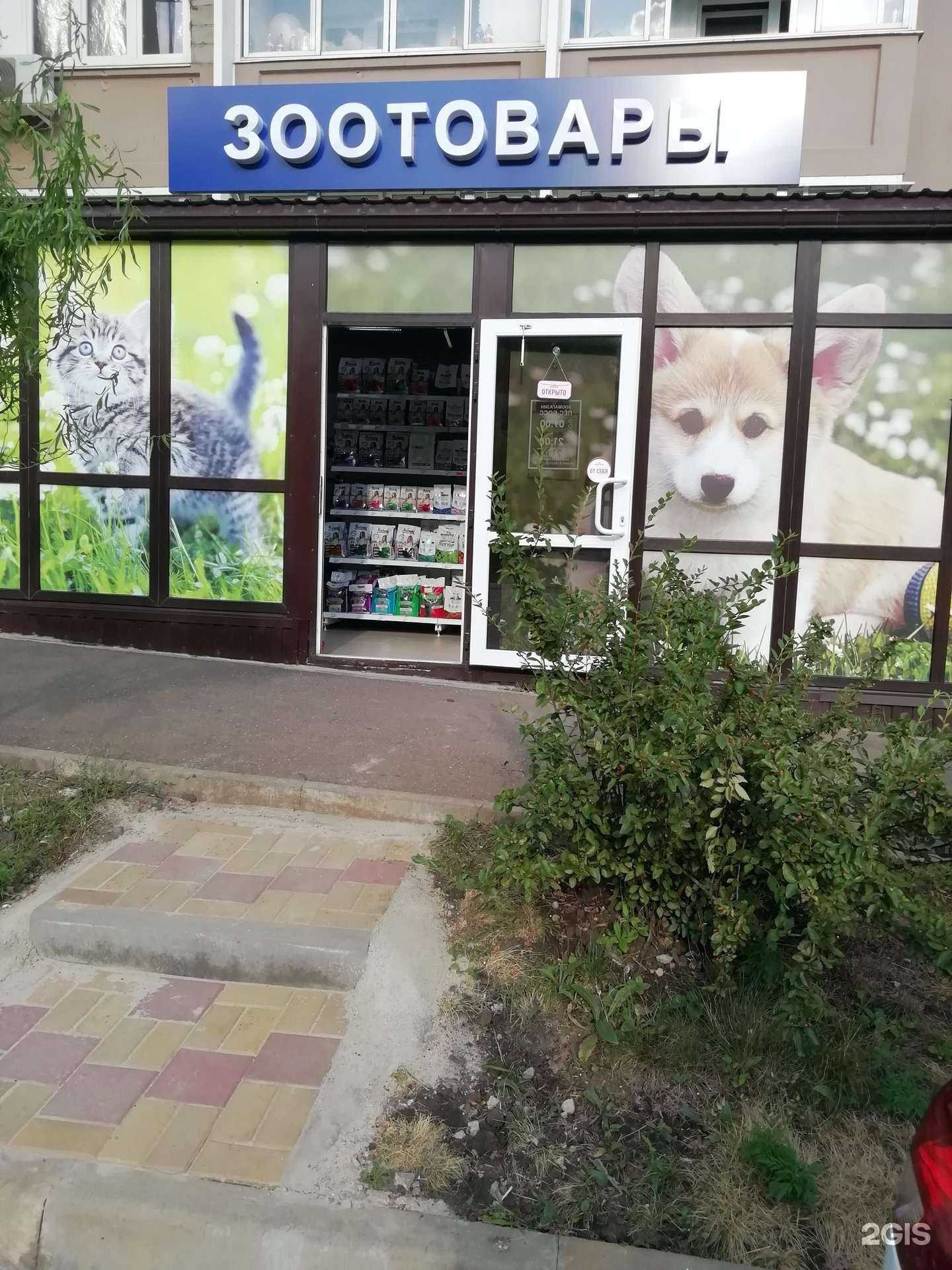 Отзывы на компанию Пёс-Босс в Краснодаре c фото