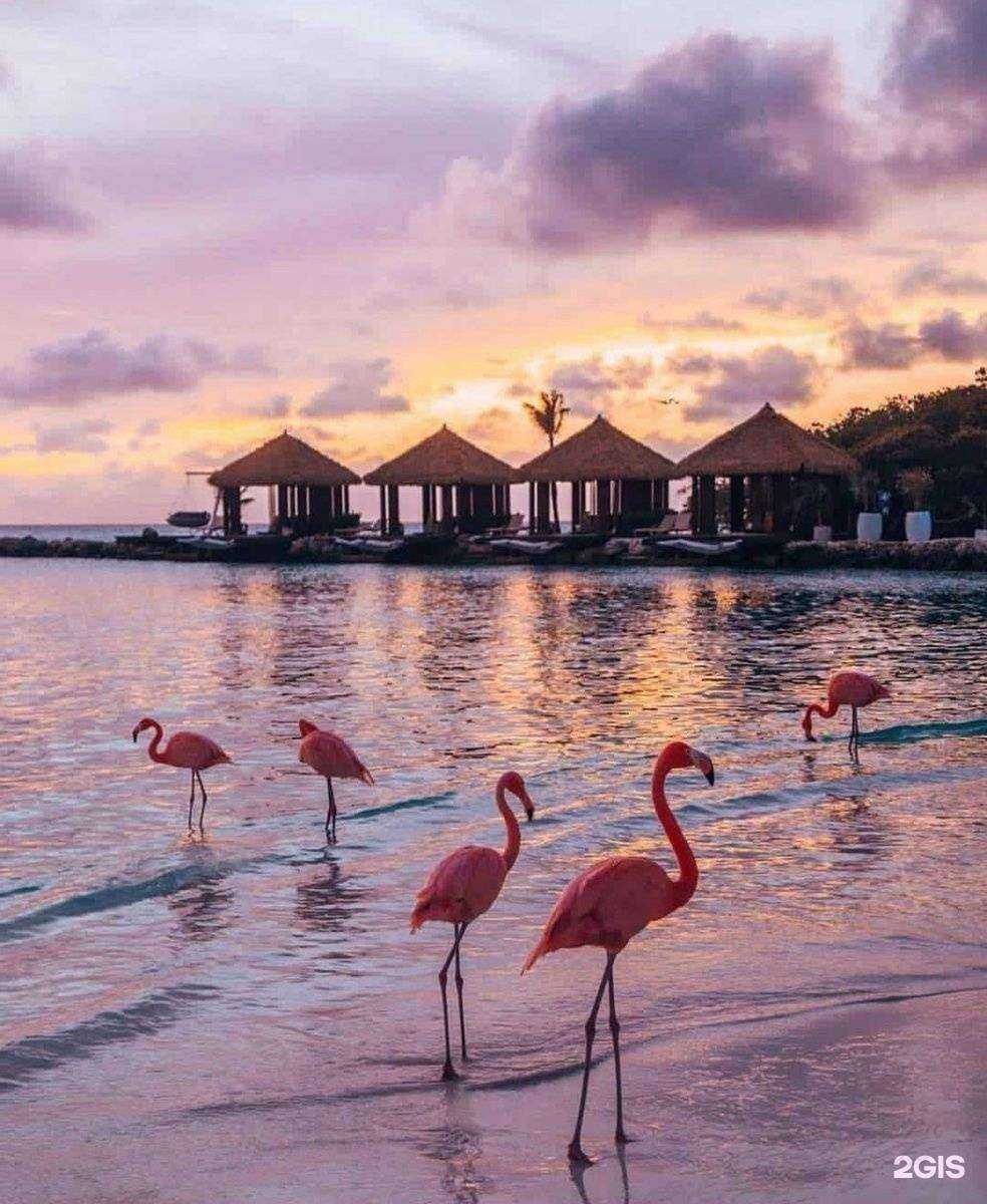 Отзывы на компанию Турлидер в Екатеринбурге c фото