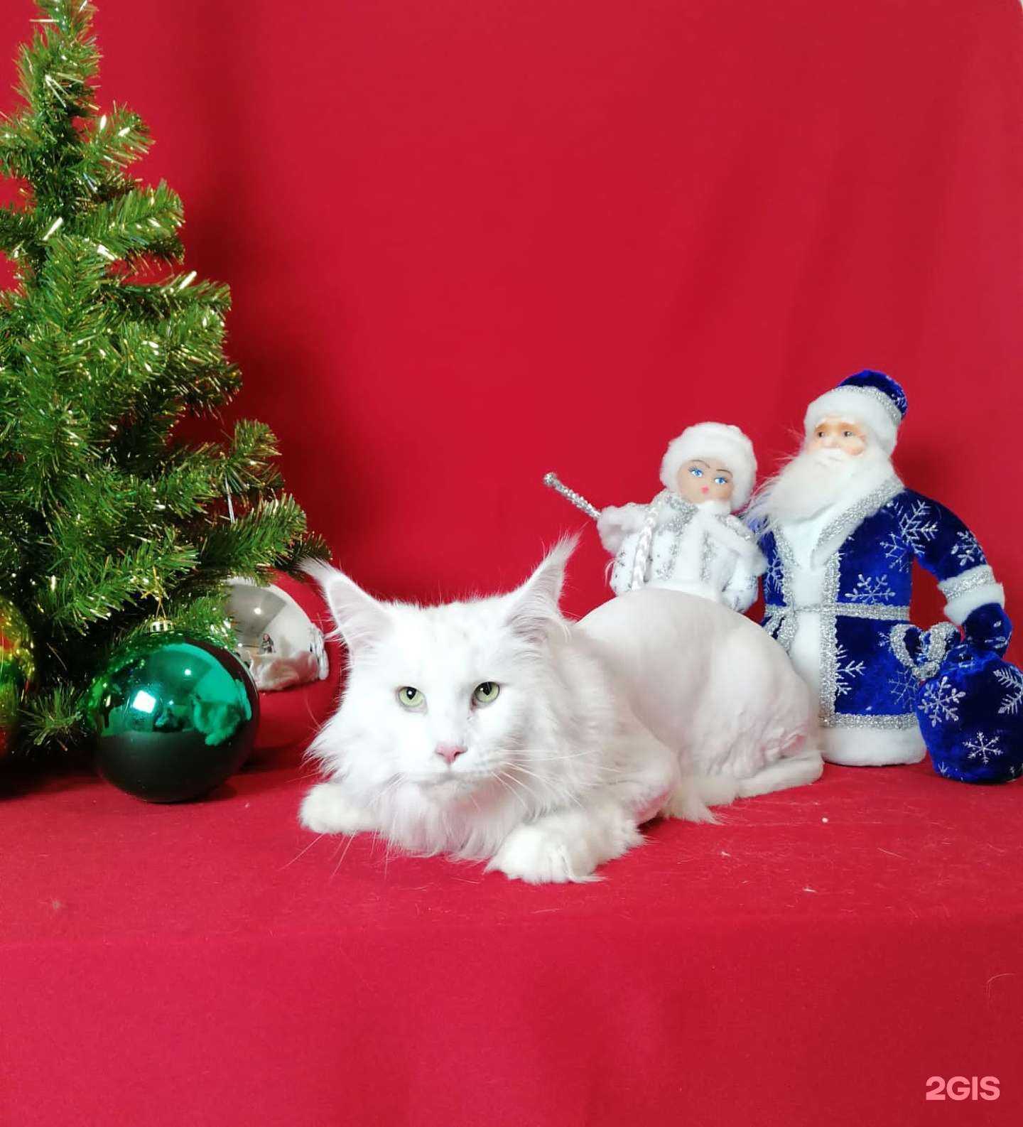 Отзывы на компанию Тандем в г. Курган c фото