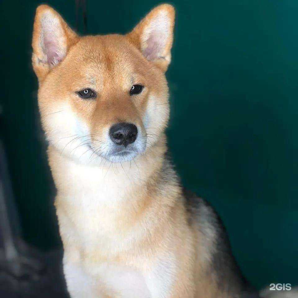 Отзывы на компанию ЛюСи в Астрахани c фото