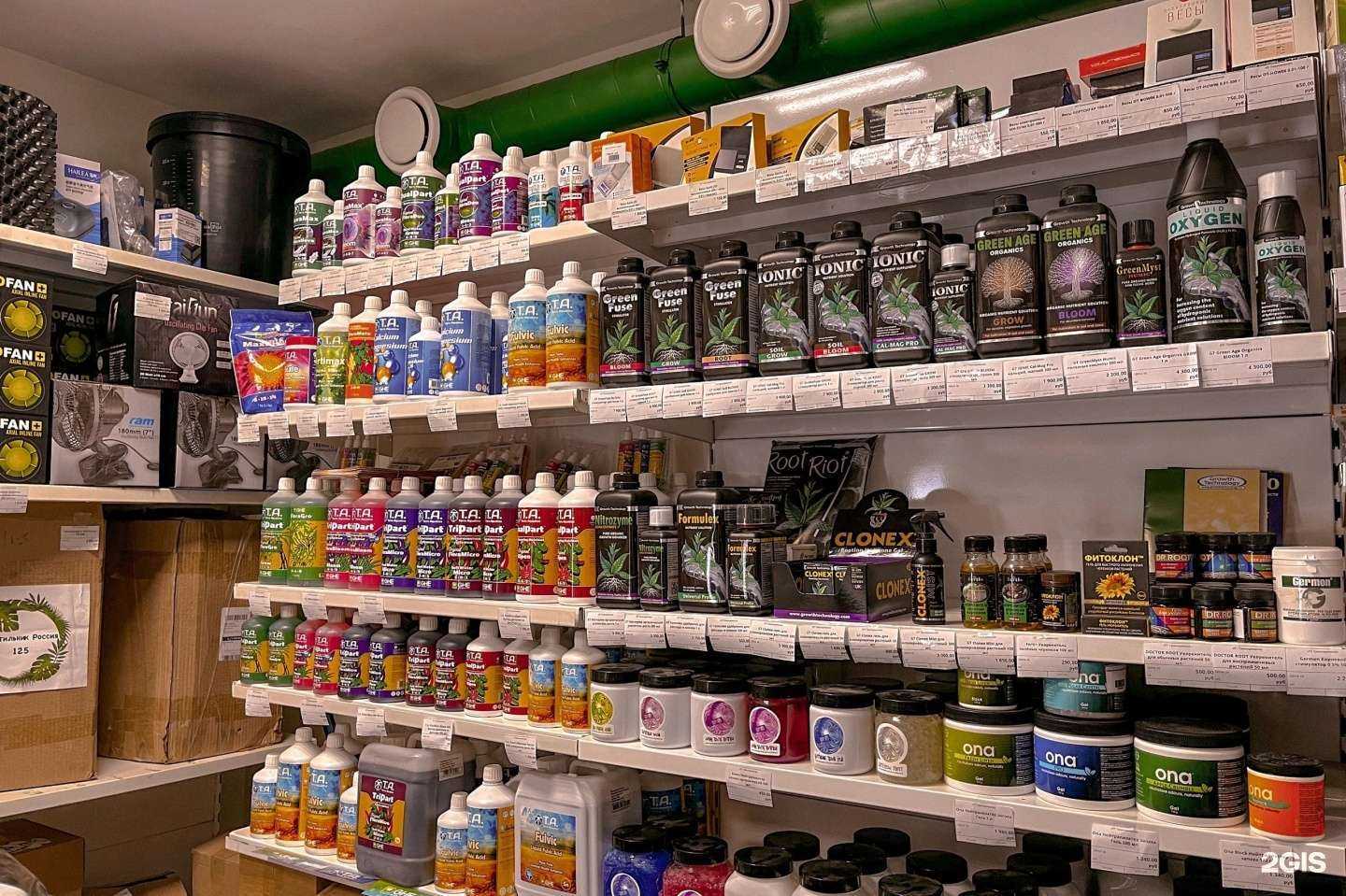 Отзывы на компанию Растишка Тлт в г. Тольятти c фото