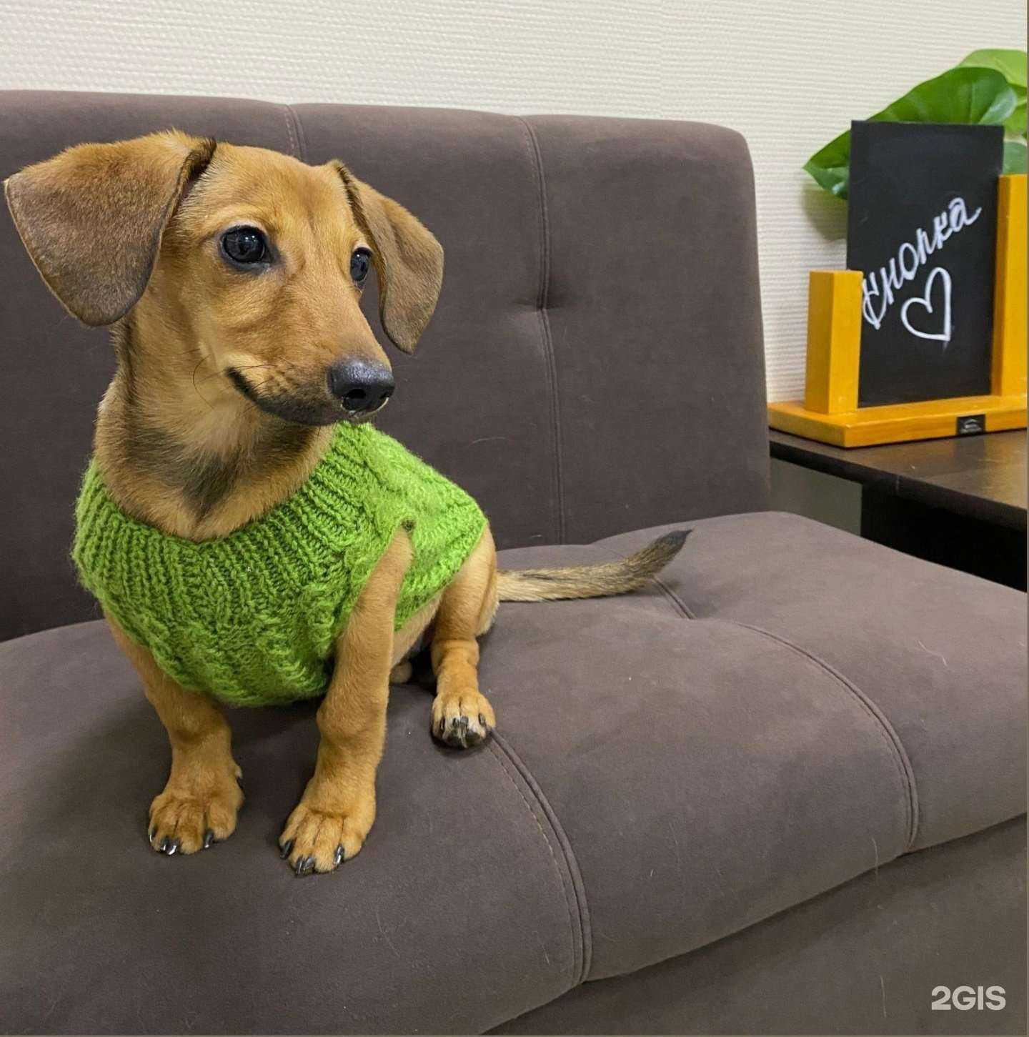 Отзывы на компанию Кнопка в г. Пермь c фото