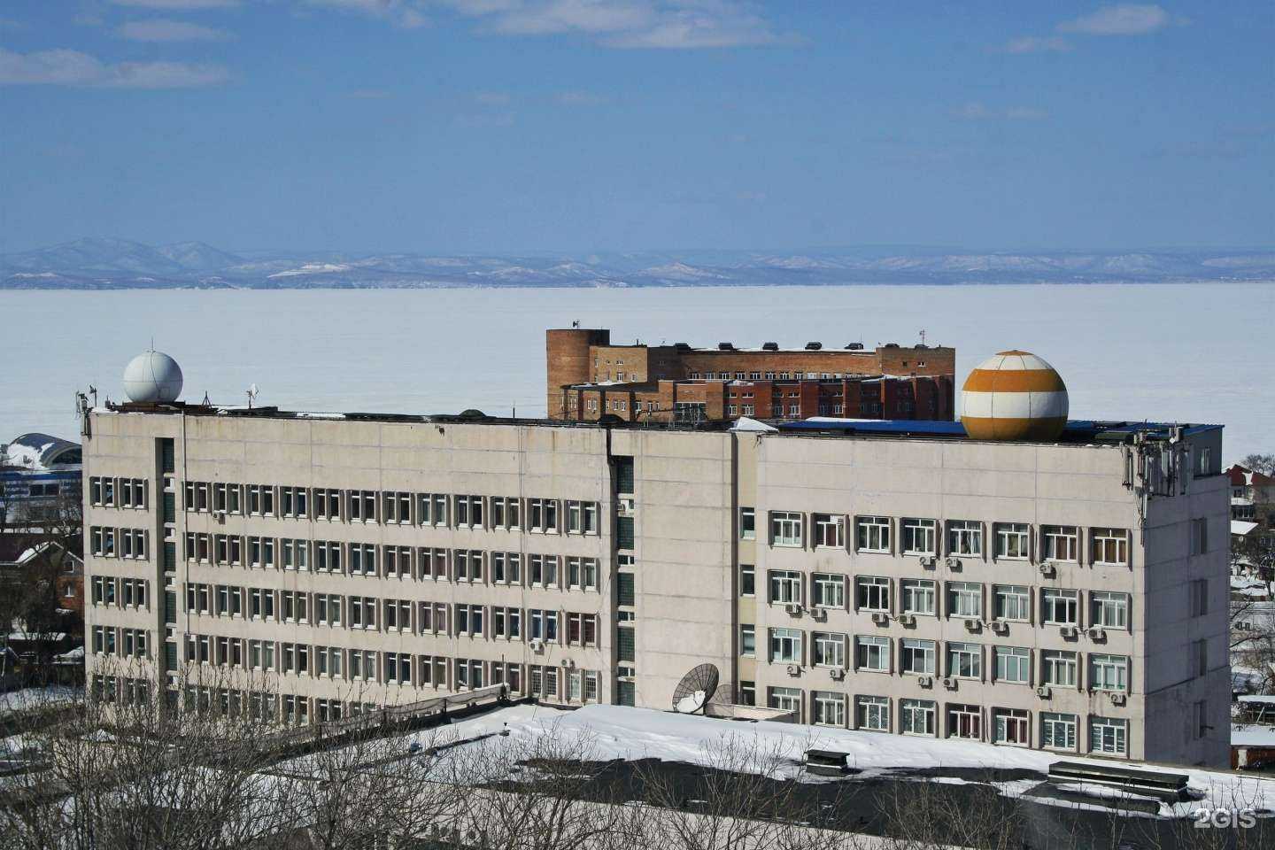 Отзывы на компанию Инфовира в Владивостоке c фото