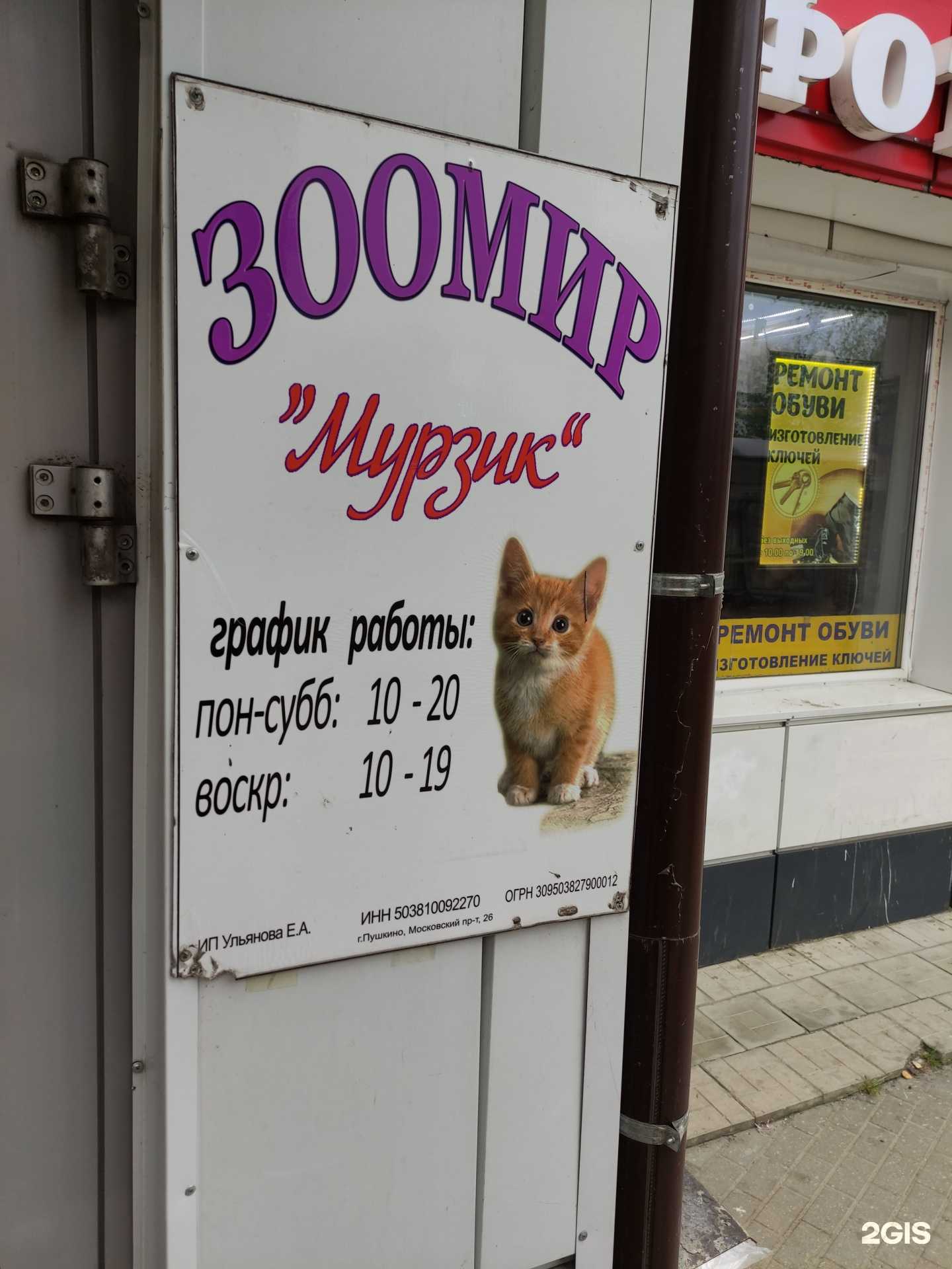 Отзывы на компанию Мурзик в Пушкине c фото