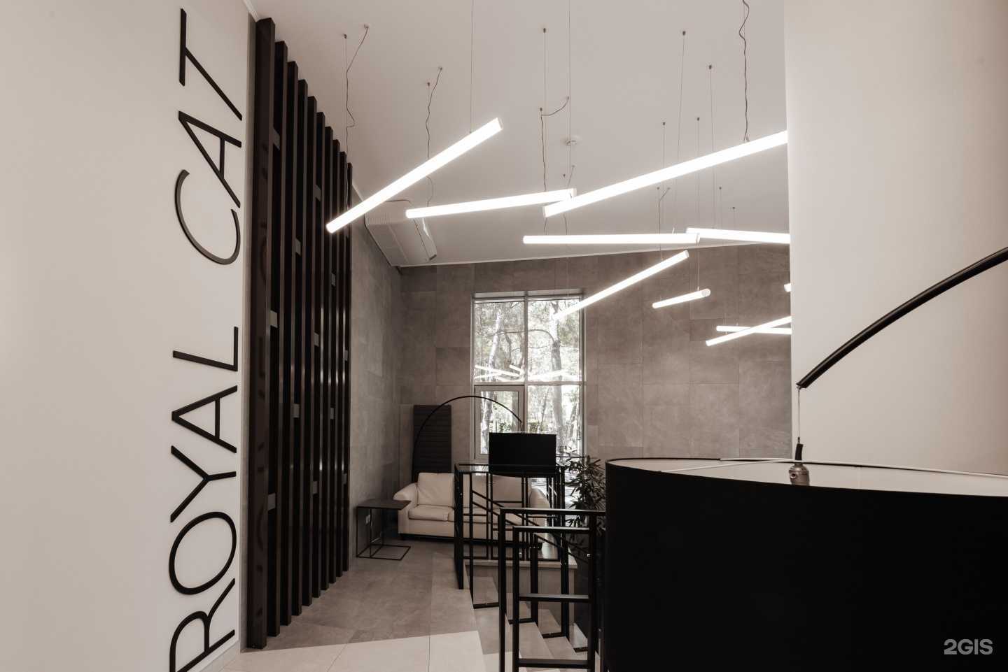 Отзывы на компанию Royal cat в г. Геленджик c фото