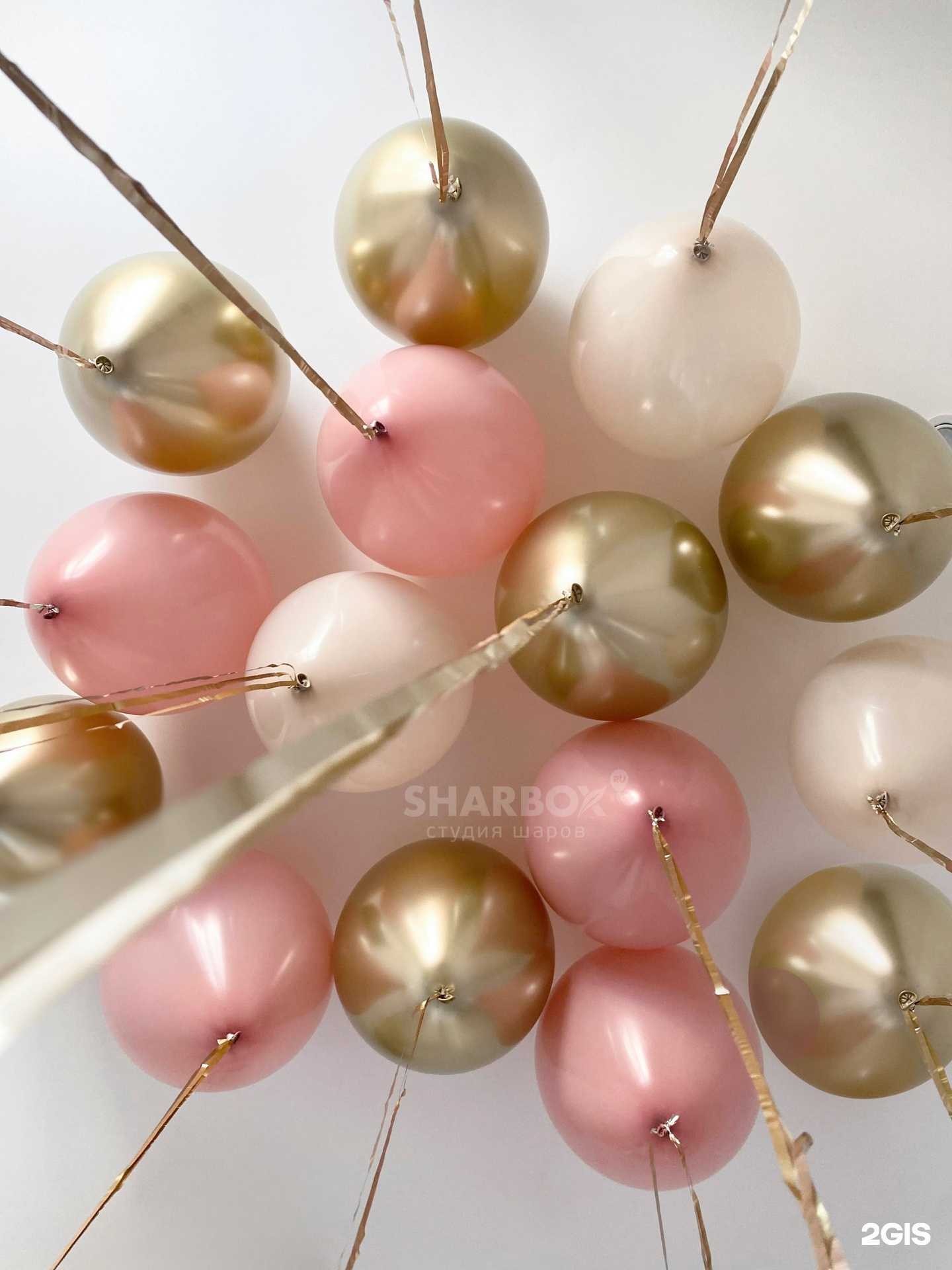 Отзывы на компанию SHARBOX в Тюмени c фото