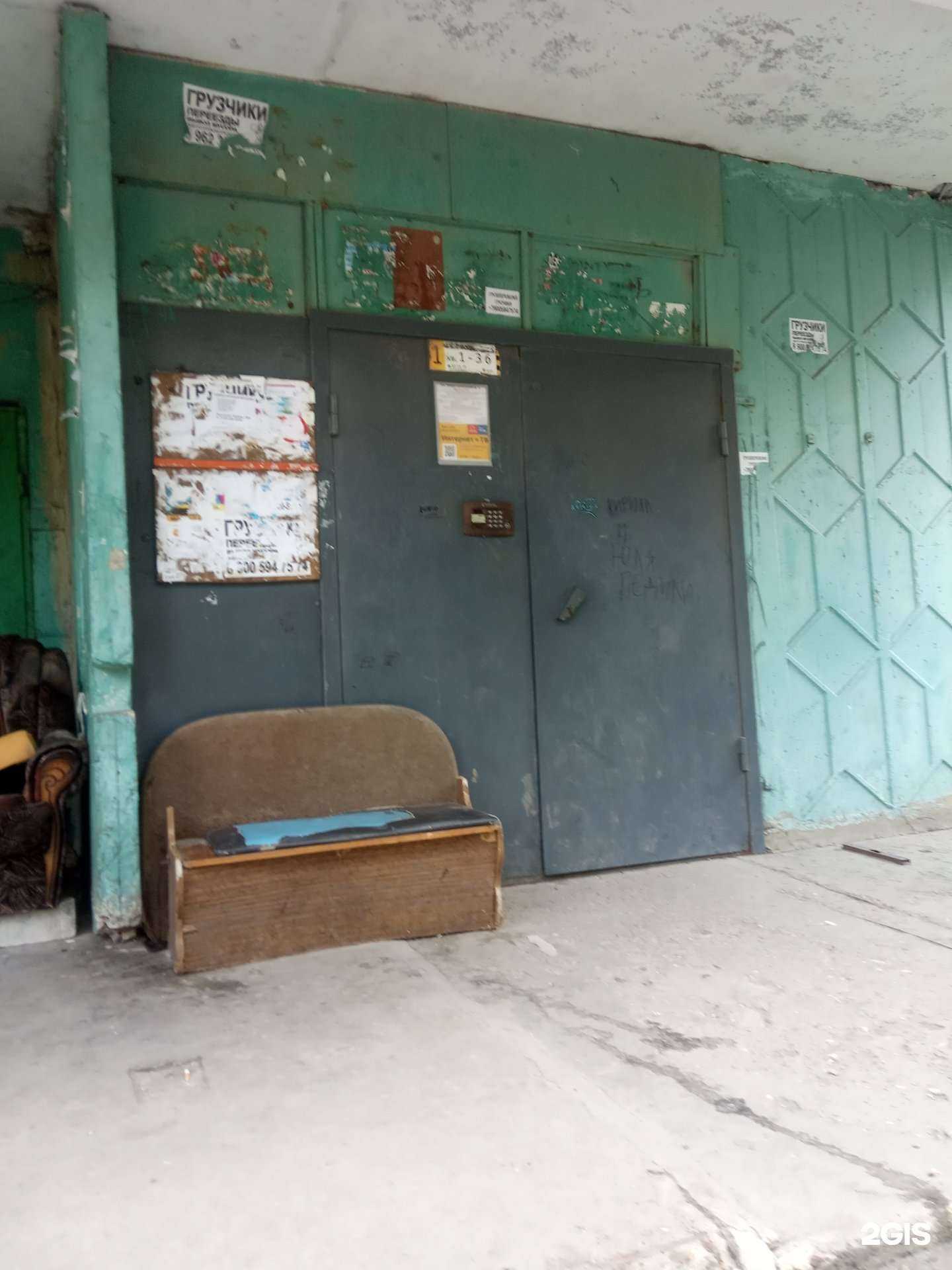 Отзывы на компанию Cat&Dog в Липецке c фото - фотография 2 из 2