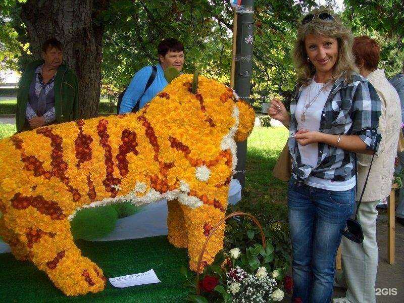 Отзывы на компанию Средняя школа №34 в Волгограде c фото